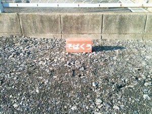IMG_0099 IMG_0099