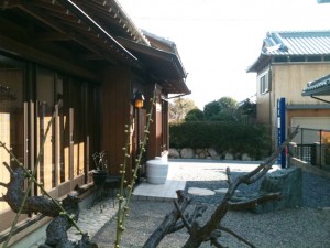 IMG_0101 IMG_0101