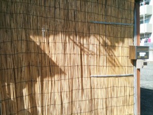 IMG_0104 IMG_0104